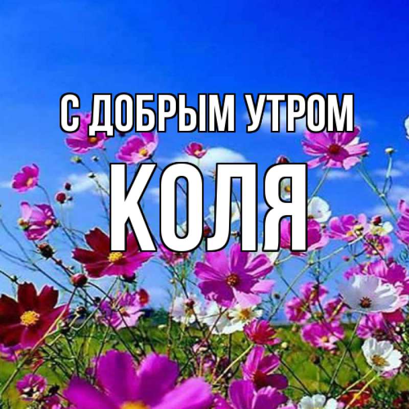 Доброе утро, книголюбы! 