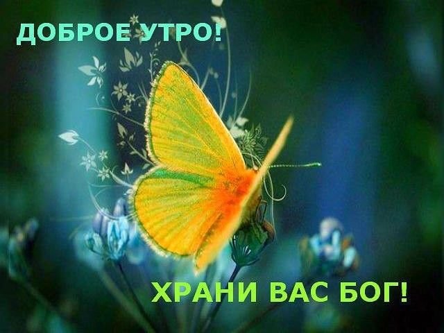 Открытки Доброе Утро Храни Вас Бог 