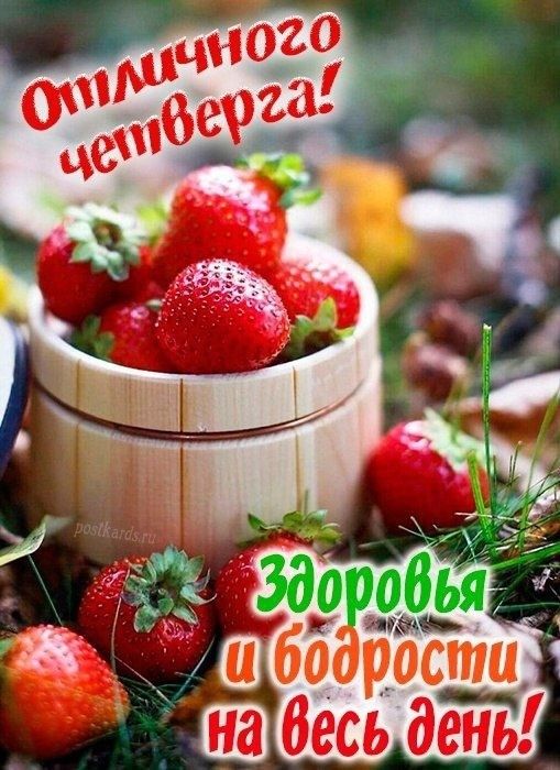 Картинки Доброе утро четверга