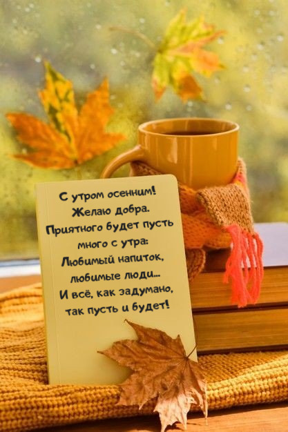 🌞 С добрым утром! 🌷 