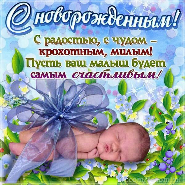 Поздравления 