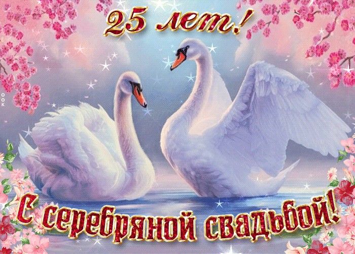 С Серебряной Свадьбой 25 Прикол 