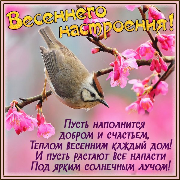 Доброе утро! 🌸 Счастливой вам Весны 