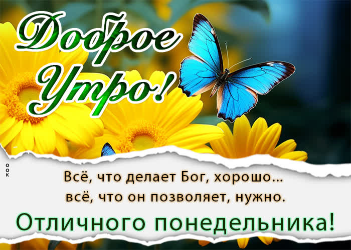 Открытки и картинки «Доброе утро 