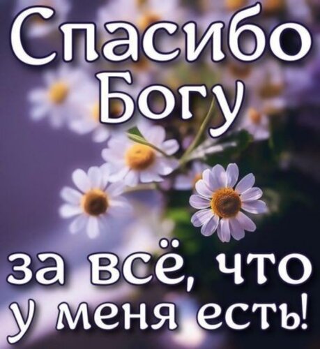 Спасибо Всевышнему за все что у меня есть 🤲 #Всевышний 