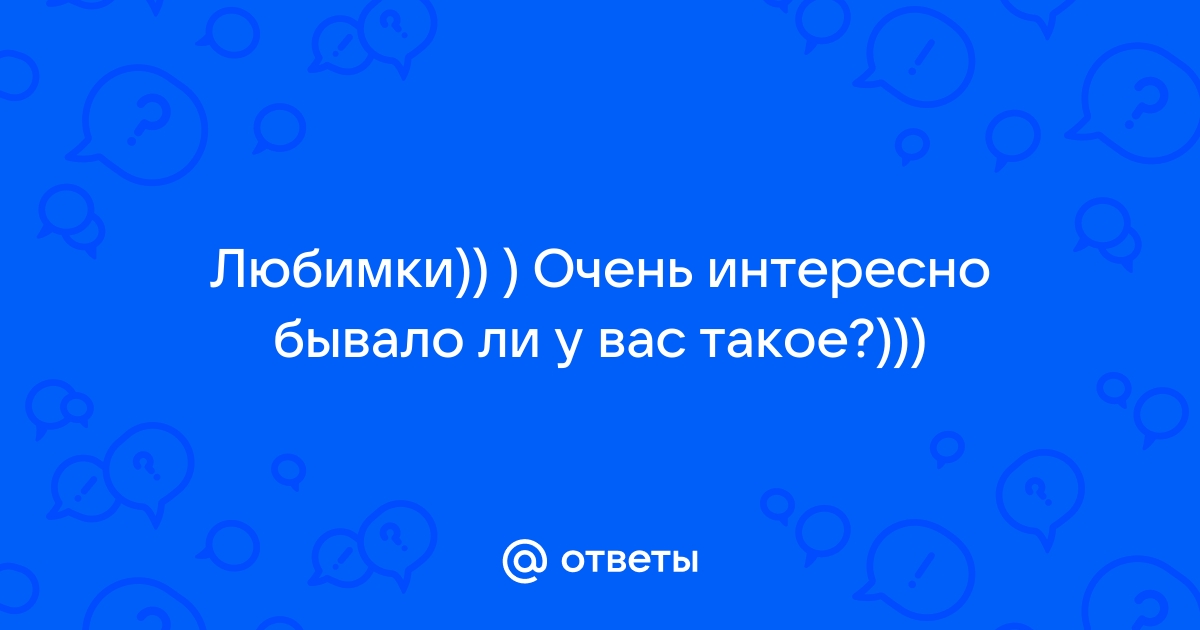 Милая открытка с котом 