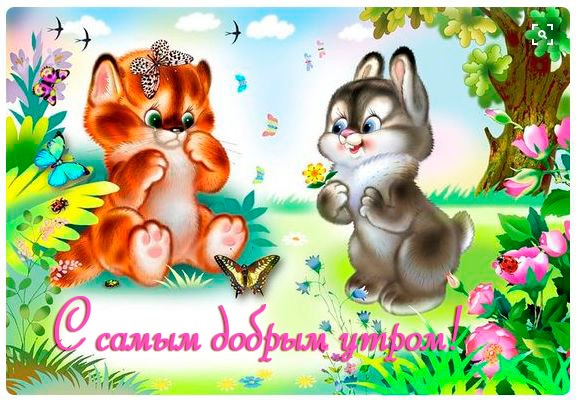 💐 С Добрым Утром! ☕️🌸 Пусть это утро будет самым лучшим 