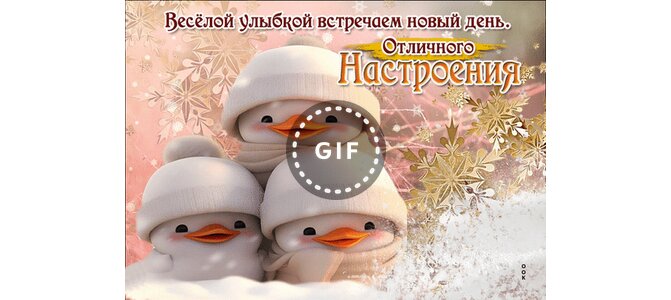 Мы встречаем Новый год!