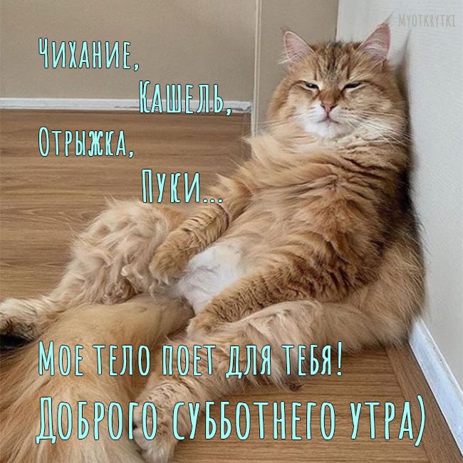 Доброе утро суббота