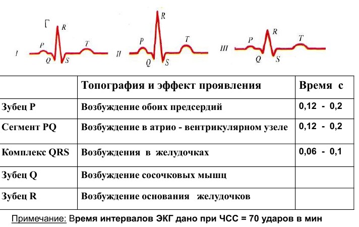 Электрокардиограмма сердца