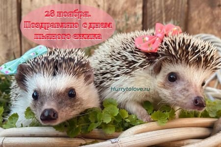 Сегодня 5 июня 