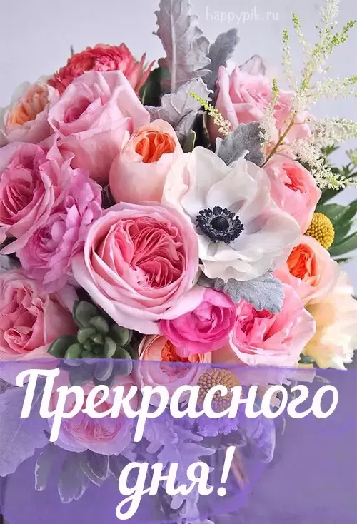 Картинки С добрым утром с цветами 🌹