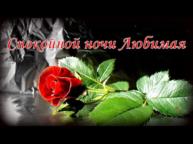 🌙 СЛАДКИХ СНОВ 🌙 Спокойной ночи, наши 