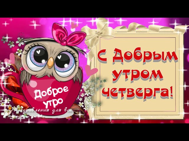 доброеутро #четверг 