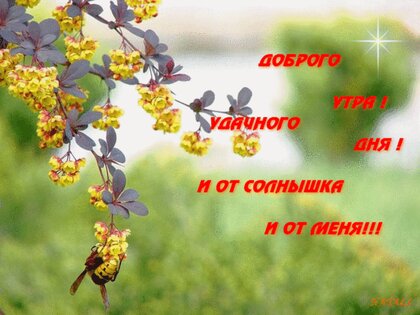 Красивые картинки Природа с пожеланием 