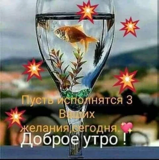 ╭•⊰🌞 С добрым утром! Чудесного 