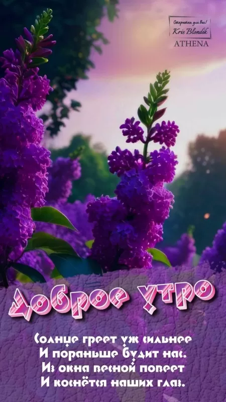 💙☀🌼С добрым утром, день