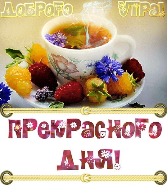 🌞Хорошего, счастливого дня! 🌼🌺🌹 