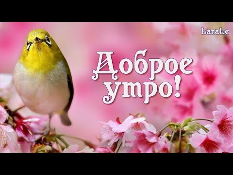 апрельское утро