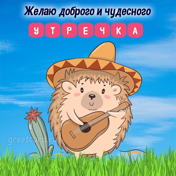 Картинка