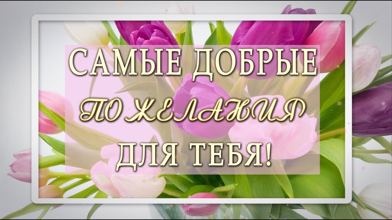 🌻Самые добрые пожелания для тебя 