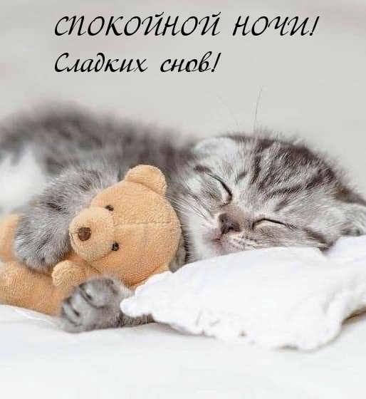 Доброй ночи! Красивые пожелания перед сном 💞 