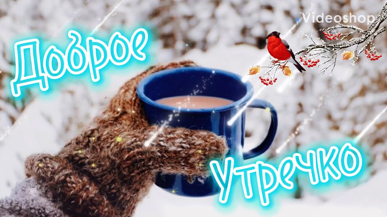 ✨️ Доброе утречко! 🌺 Хорошего денёчка 