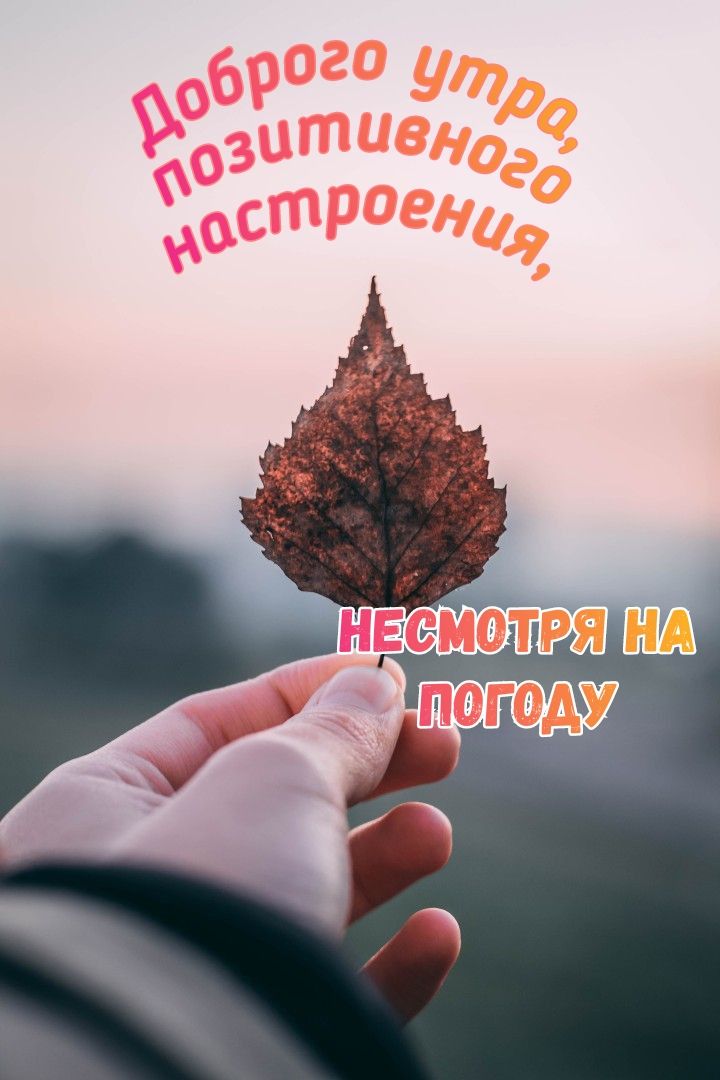 Доброе утро☺ Смотрю на вас, любуюсь, как вы просыпаетесь 