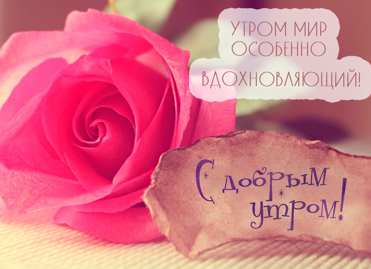 🌺 ДОБРОЕ УТРО МОЯ ДОРОГАЯ / ДОБРОЕ 