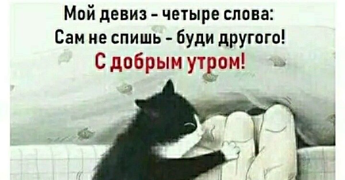 Котоматрица