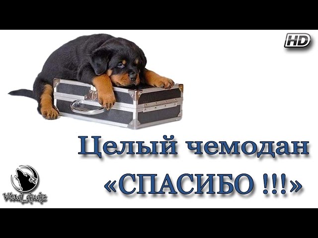 Вещевые Сумки 5 Шт