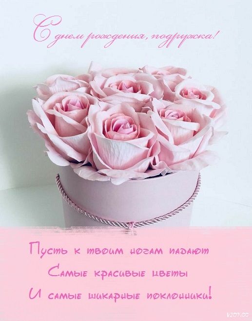 С ДНЕМ ПОДРУГ 🌺 21 апреля, 13 февраля