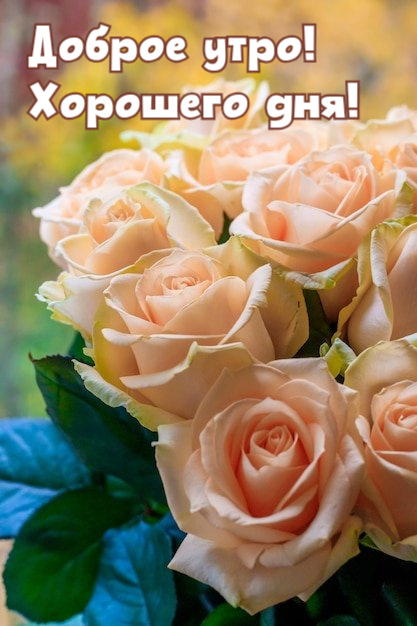 💌☀️😄 Картинки Хорошего дня