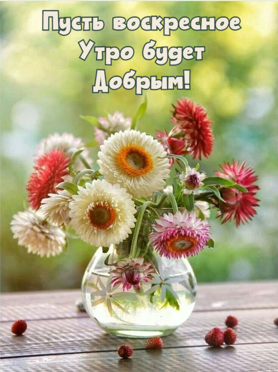 Доброе утро 🦋, всем хорошего 