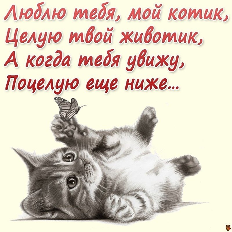 Отмечай! #мимими #милота #котята #пикчи