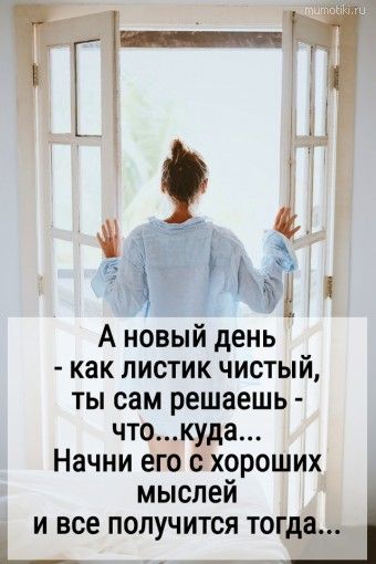 Мотивация дня