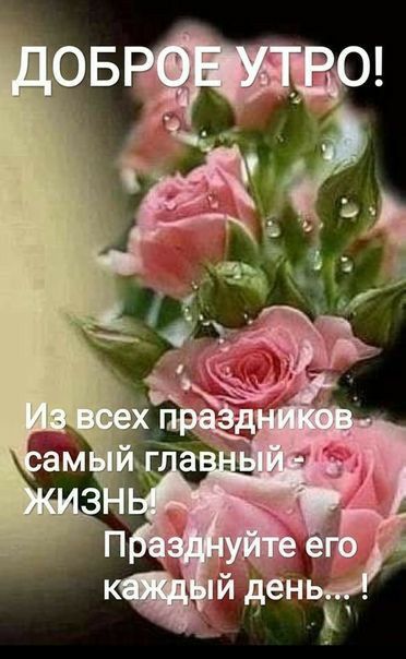 💗☕️Доброе Утро! Хорошего Дня!🌷Для Друзей! Заряд Позитива 