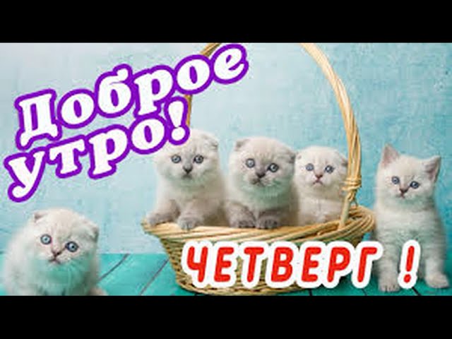 Всем доброе утро и удачного дня!