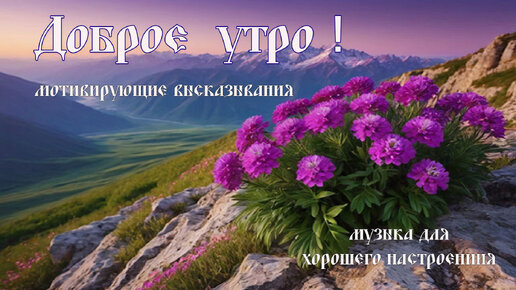 доброеутро #цитаты #цитатывеликихлюдей #цитатыпрожизнь 