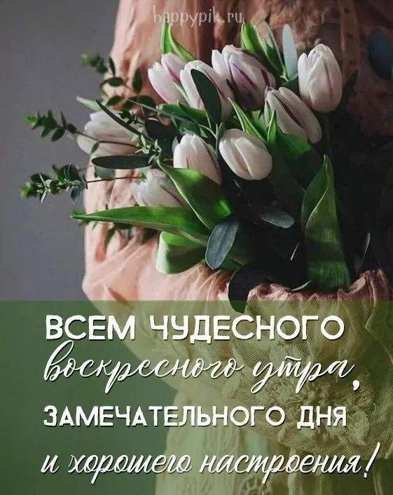 Доброе весеннее воскресное утро! 🌷☀️ 