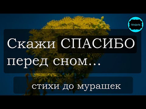 Всем Спасибо Кто Меня Незабыл А Кто Невспомнил Тоже Спасибо 