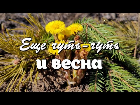 Весенняя картинка с добрым утром 