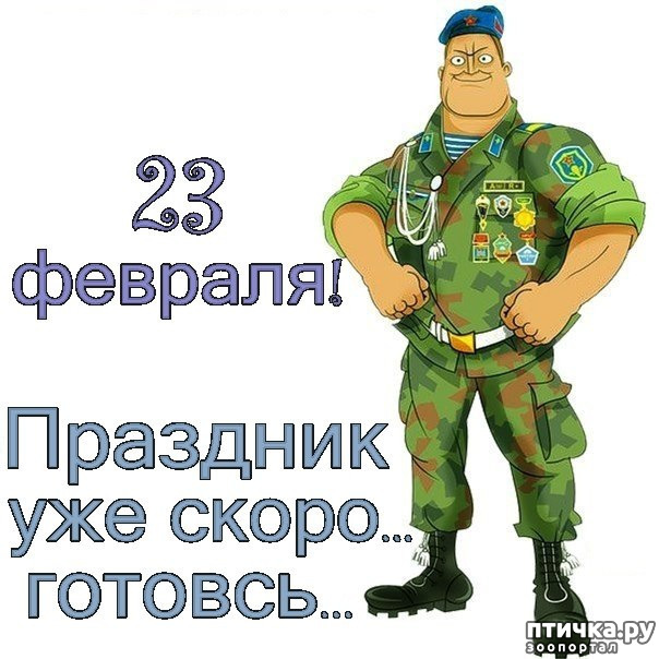 23 февраля