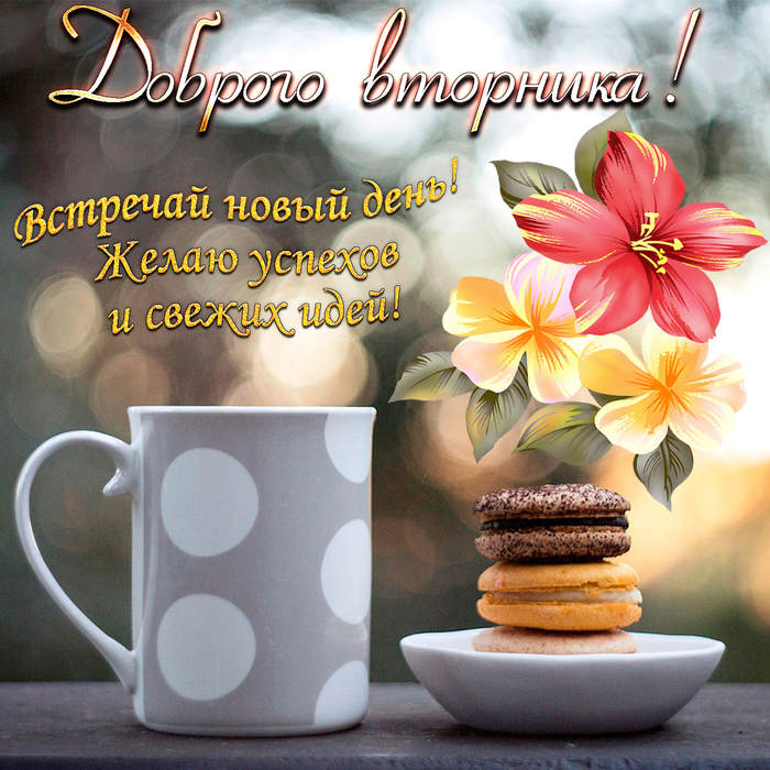 С Добрым Утром вторника🌸 