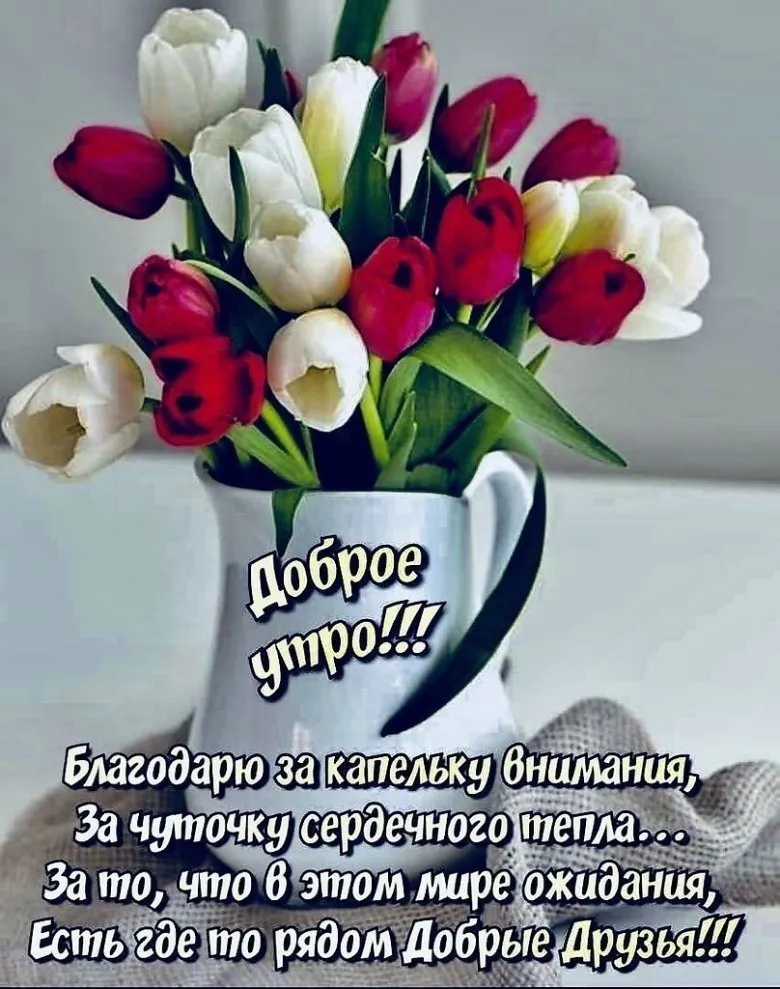 С Добрым Утром! ☕🌹Красивейшие Пожелания Доброго Утра и 