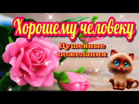 Поздравления с Днем учителя 2024