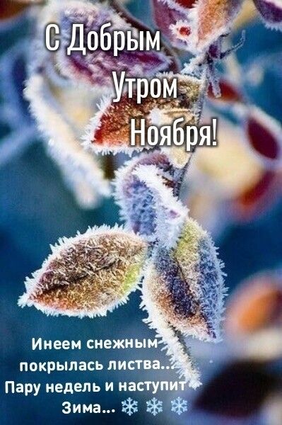 Доброе утро