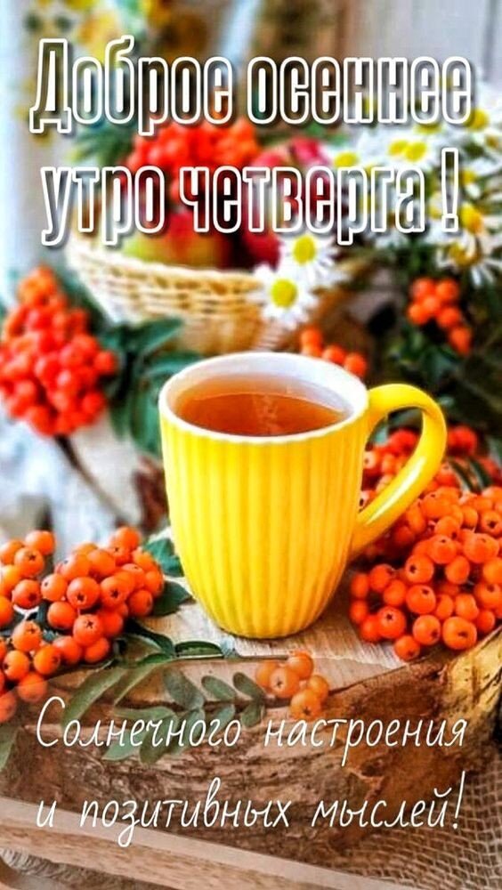 🍂🍁 ДОБРОЕ УТРО, ДРУЗЬЯ! ОТЛИЧНОГО ДНЯ! 🍁🍂 Я желаю вам 