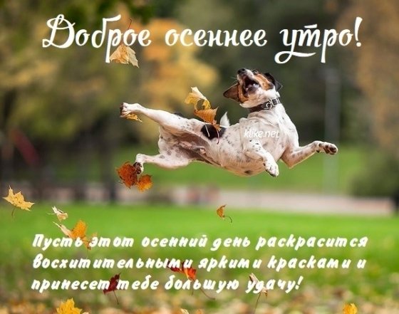 Отличного настроения! Хорошего дня 