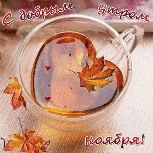 1 ноября ,Первый день ноября 🍂,доброеутро#первыйденьноября 